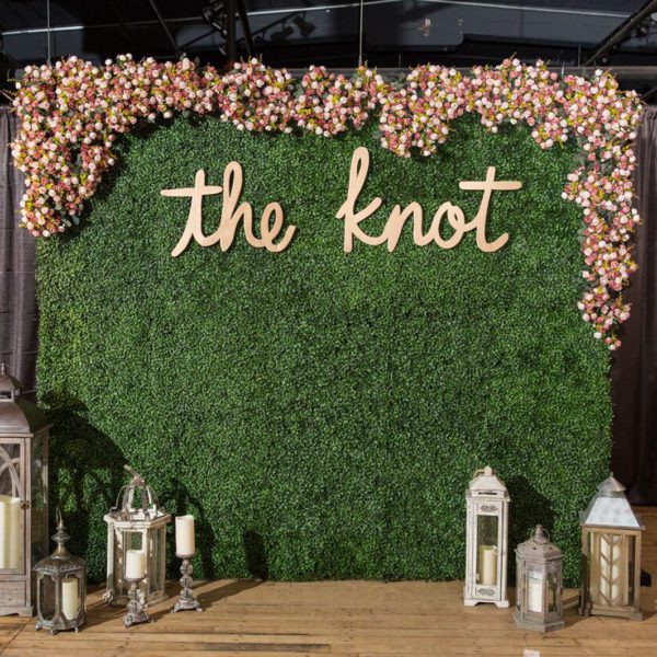 Party Backdrop view 2