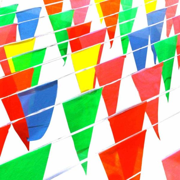 Pennant Flags view 2